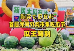 吃瓜爆料大赛每日聚集地,热点事件背后的秘密揭晓